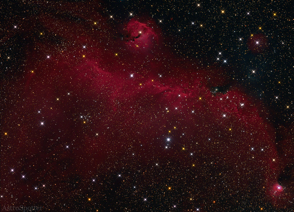Seagull Nebula