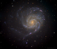 The Northern Pinwheel Galaxy of M101