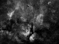 The Cygnus Satr Nebulous Area