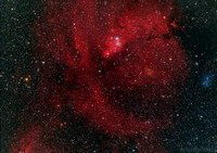 The Nebula Surrounding the Cone Nebula